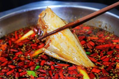 成都郫縣有沒有專業(yè)培訓(xùn)耗兒魚培訓(xùn)學校？