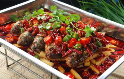  四川小吃烤魚技術(shù)培訓(xùn)學(xué)校哪里好？