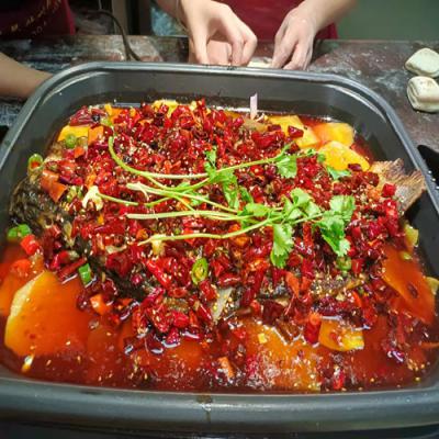 哪里可以學習香辣烤魚技術培訓？