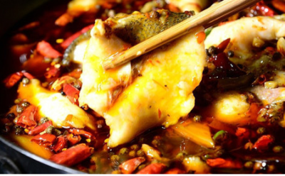 選擇火鍋魚培訓機構擇在哪里很好？