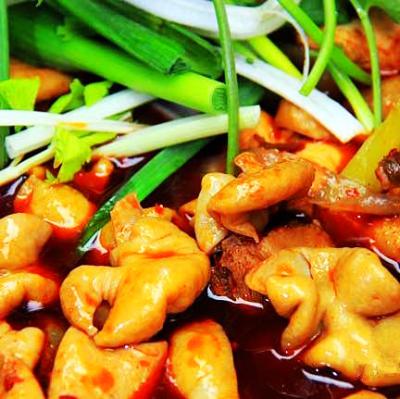 肥腸雞技術(shù)培訓(xùn)要去哪里學(xué)？